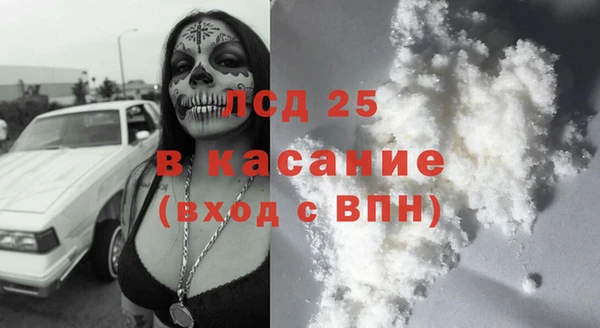 прущие грибы Балабаново