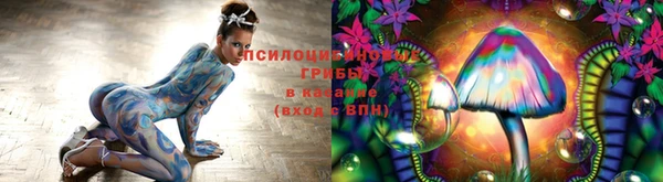 прущие грибы Балабаново