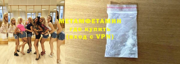 прущие грибы Балабаново