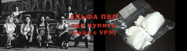 ECSTASY Баксан