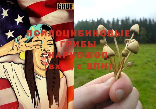 прущие грибы Балабаново