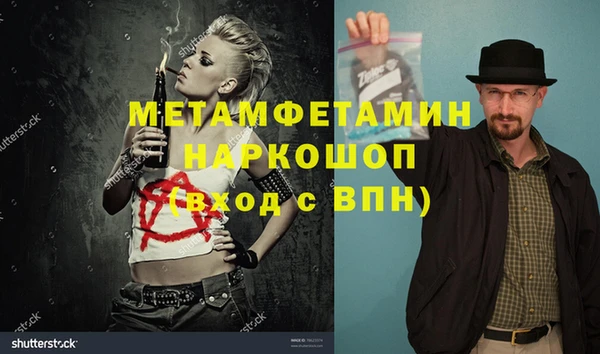 прущие грибы Балабаново