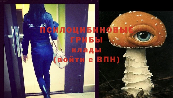 наркотики Каменногорск