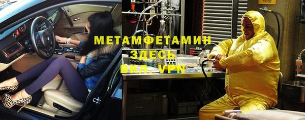 прущие грибы Балабаново
